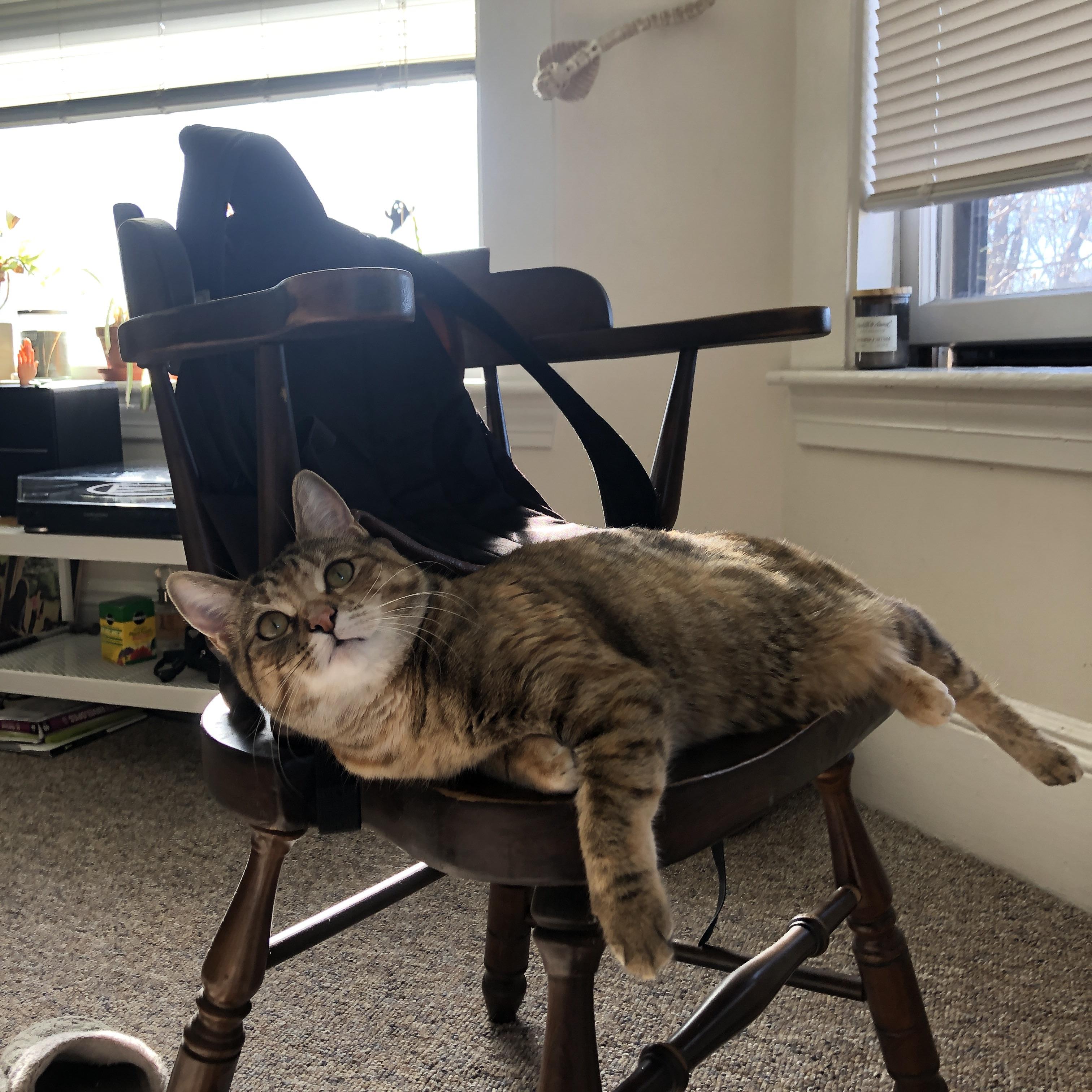 九游体育电竞-“青少年足球公益推广在边远地区掀起高潮”，青少年公益足球计划